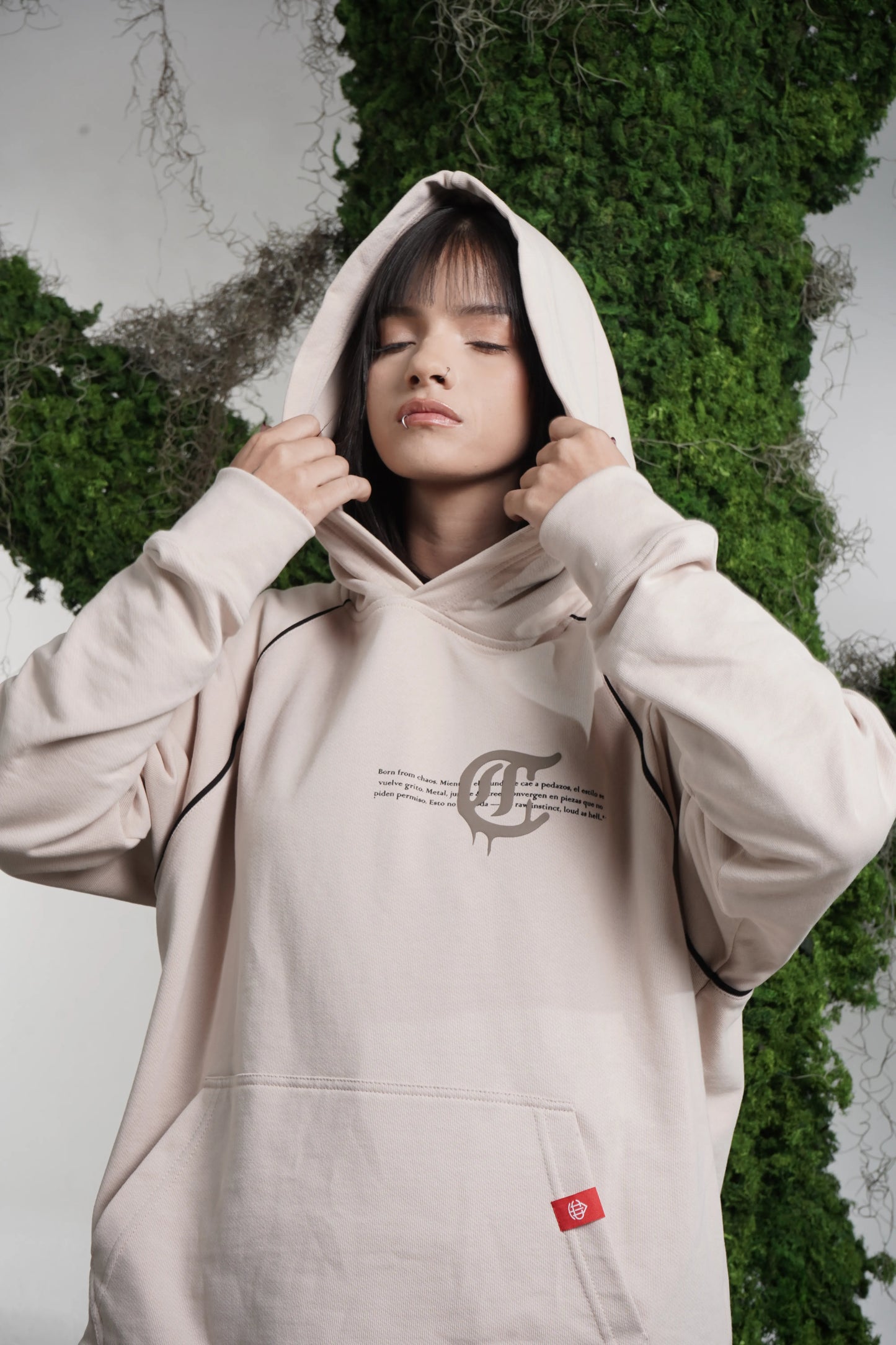 Hoodie Born From Chaos